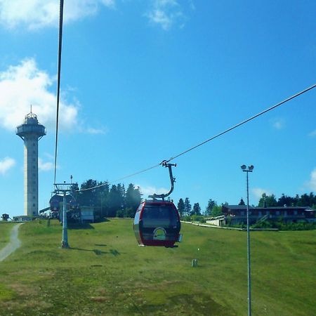 Fewo E Am Kurpark Willingen  Buitenkant foto