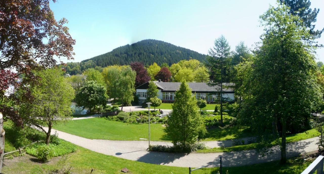 Fewo E Am Kurpark Willingen  Buitenkant foto